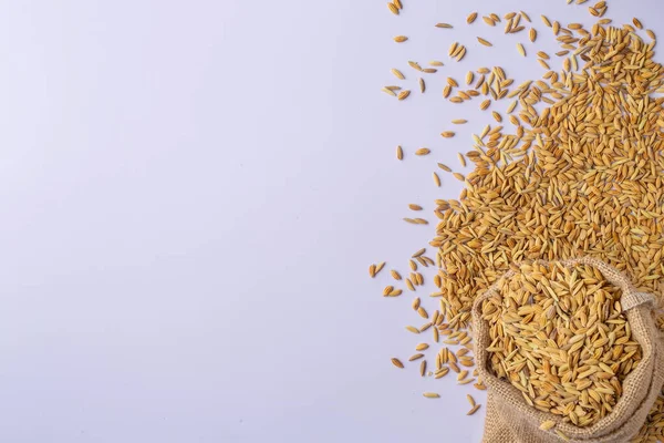 Rice Overflows Bag White Background — Stock Fotó