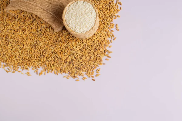 Rice Has Been Peeled Placed Paddy White Background — Photo