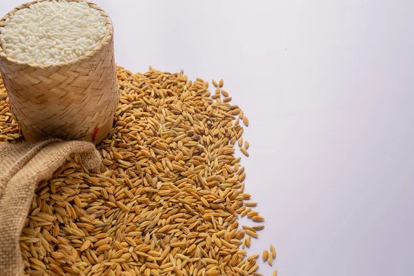 Rice Has Been Peeled Placed Paddy White Background — Stock Fotó