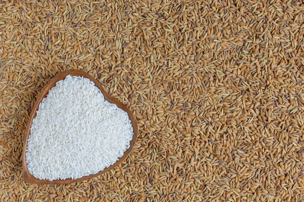 Rice Has Been Peeled Placed Paddy White Background — 스톡 사진