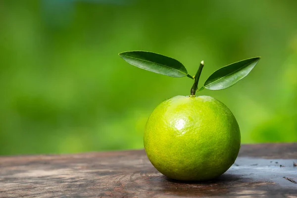 Orange fruit placed on a wooden floor and has a natural green background.