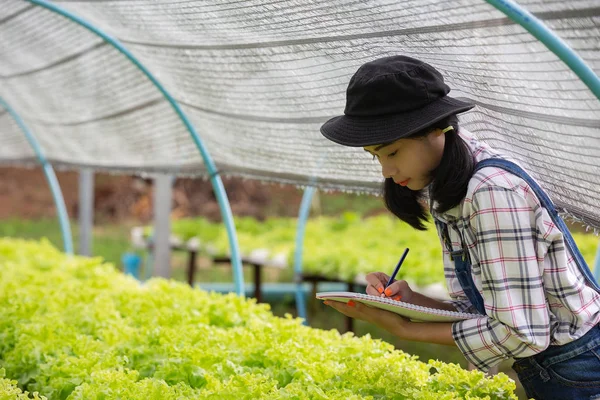 Beautiful Woman Checking Green Vegetables Nursery — Stockfoto