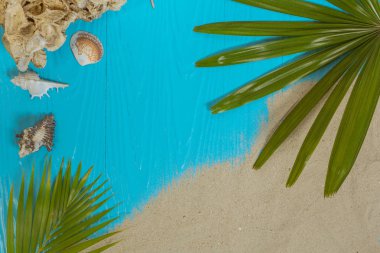 Kumlu plajlar ve deniz kabukları olan yaz konsepti mavi arka planda.