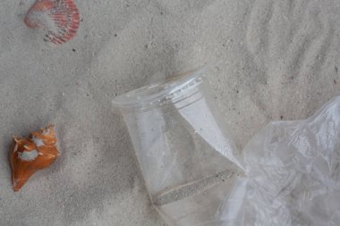 Beyaz kumdaki plastik atıklar ve kabuklu deniz hayvanları..