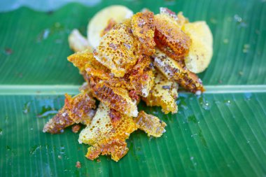 Muz yapraklarındaki yabani arı kovanları.