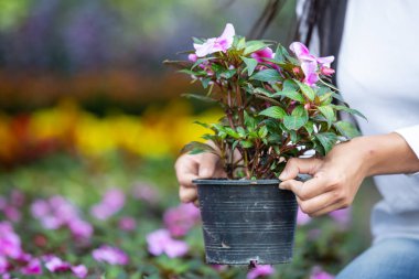 Kız bahçedeki çiçeklere hayran..
