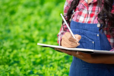 Hidrofonik sistem, sebze ve ot ekme sağlık, modern gıda ve tarım tasarımı kavramları için toprağı kullanmadan..