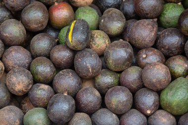 Avokado piyasada, avokado arka planda.