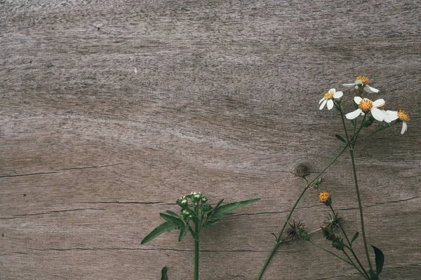 White Grass Flowers Brown Wood Background — Foto de Stock