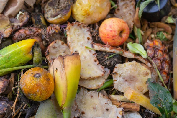 Sampah Puing Puing Yang Membusuk Tanah — Stok Foto