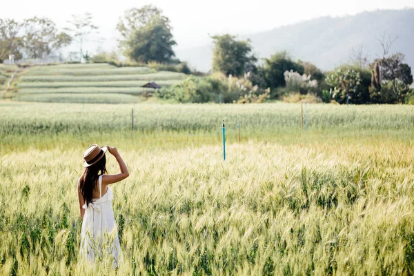 Beautiful Woman Enjoying Barley Fields — 图库照片