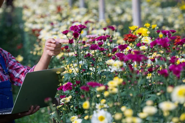 Agricultura Está Pesquisando Variedades Flores Conceitos Agrícolas Modernos — Fotografia de Stock