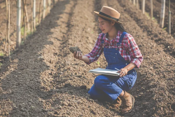 Women Farmers Researching Soil — Fotografia de Stock