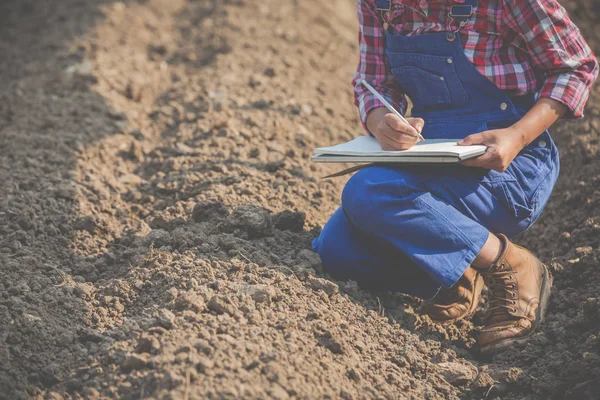 Women Farmers Researching Soil — Stockfoto