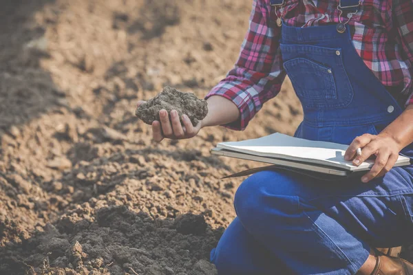 Kobiety Rolnicy Badają Glebę — Zdjęcie stockowe