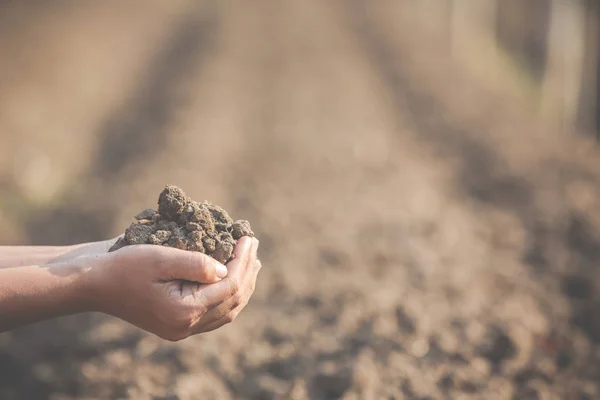 Women Farmers Researching Soil — ストック写真