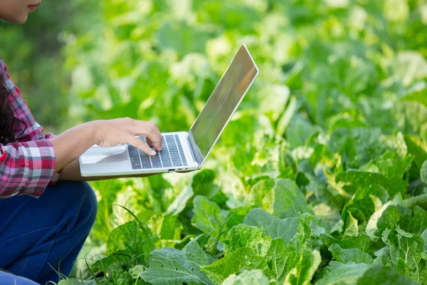 Las Agricultoras Están Investigando Concepto Moderno Verduras —  Fotos de Stock