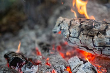 Kamp yapmak için ormandaki ateşi yakıyorum..