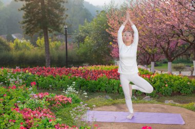 Kadınlar parkta yoga oynuyorlar. Egzersiz.