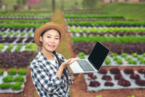Inspection of vegetable garden quality by farmers using modern agricultural technology concepts.