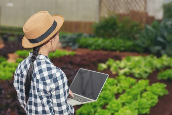 Inspection Vegetable Garden Quality Farmers Using Modern Agricultural Technology Concepts — Foto de Stock