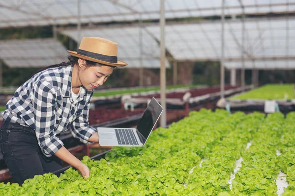 Inspeção Qualidade Horta Pelos Agricultores Utilizando Conceitos Modernos Tecnologia Agrícola — Fotografia de Stock