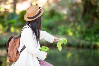 Dişi turistler balıkları besliyor..