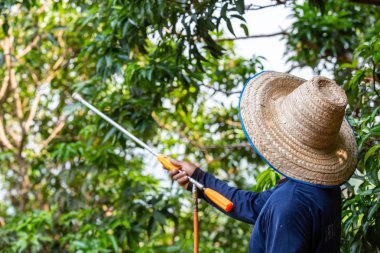 Çiftçiler bahçeye liçi sıkarlar..