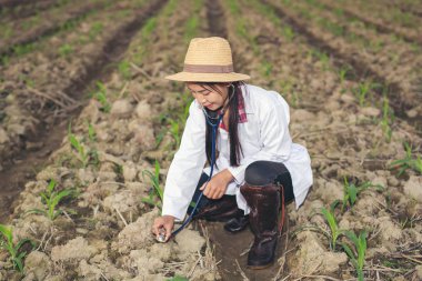 Kadın araştırmacılar modern bir konsept tablet ile toprak inceledi.