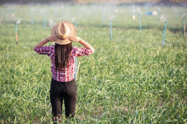 Soğan arsalarında gülümseyen ve mutlulukla kolkola duran çiftçiler