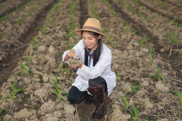 Female researchers examined soil with a modern concept tablet.