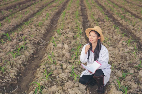 The female doctor examines soil with a modern concept book.