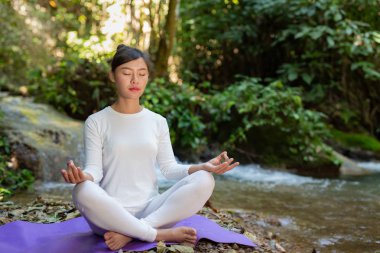 Güzel kızlar parkta yoga oynuyorlar. Ormandaki doğal şelaleler arasında egzersiz konseptleri