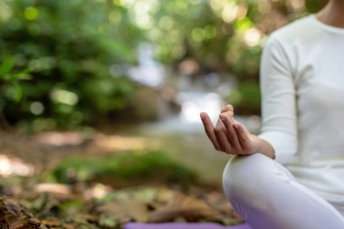 Güzel kızlar parkta yoga oynuyorlar. Ormandaki doğal şelaleler arasında egzersiz konseptleri