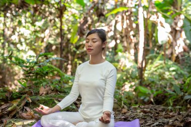 Güzel kızlar parkta yoga oynuyorlar. Ormandaki doğal şelaleler arasında egzersiz konseptleri