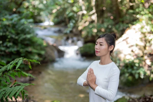 Güzel Kızlar Parkta Yoga Oynuyorlar Ormandaki Doğal Şelaleler Arasında Egzersiz — Stok fotoğraf