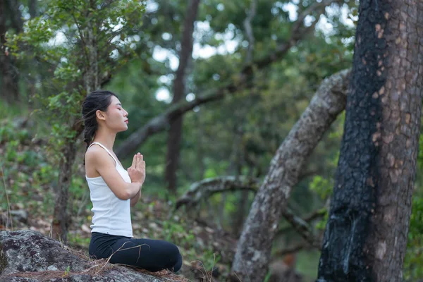 Women exercising, doing yoga in the park, World Yoga Day.