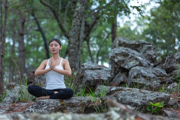 Women exercising, doing yoga in the park, World Yoga Day.