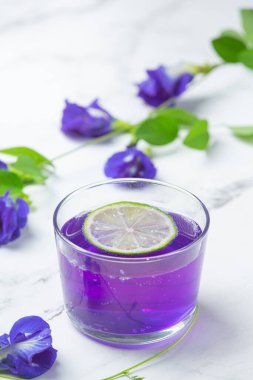 Sağlıklı içecek, limonlu ve limonlu organik mavi bezelye çiçeği çayı..