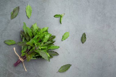 fesleğen siyah arka plan üzerine.