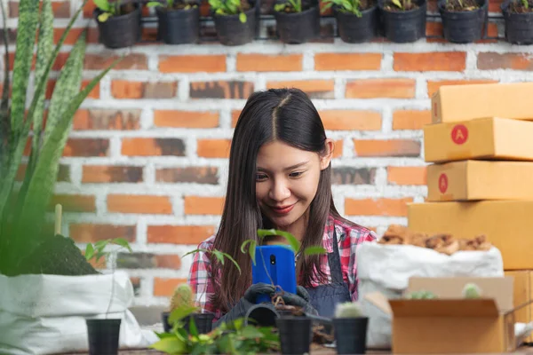 selling plant online; woman taking photo of plant by mobile phone