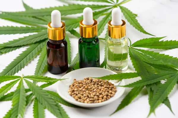 Hemp oil from hemp seeds and leaves Medical marijuana.