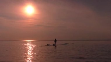 Gün batımında plaj. Çocuklar gün batımında, Sibirya'da gölde yüzerler..