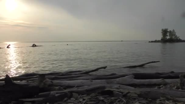 Playa Atardecer Los Niños Nadan Lago Atardecer Siberia — Vídeo de stock