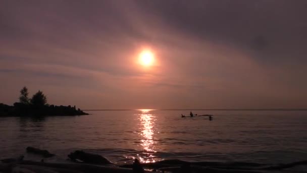 Παραλία Στο Ηλιοβασίλεμα Παιδιά Κολυμπούν Στη Λίμνη Ηλιοβασίλεμα Σιβηρία — Αρχείο Βίντεο