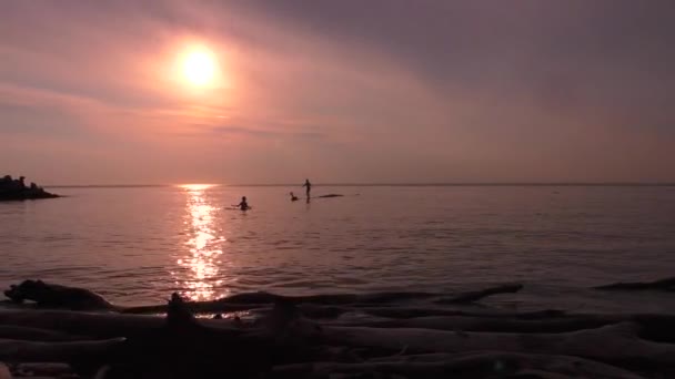 Strand Bij Zonsondergang Kinderen Zwemmen Het Meer Bij Zonsondergang Siberië — Stockvideo
