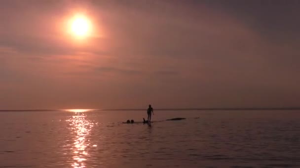 Beach Sunset Children Swim Lake Sunset Siberia — Stock Video