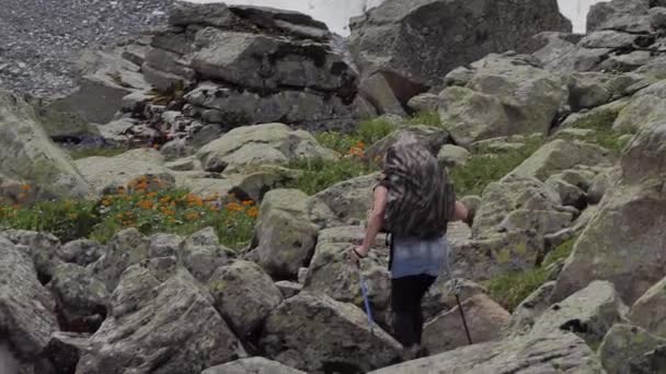 Μια Γυναίκα Τουρίστρια Σακίδιο Περνά Μια Ορεινή Πεζοπορία Ένα Καθαρό — Αρχείο Βίντεο