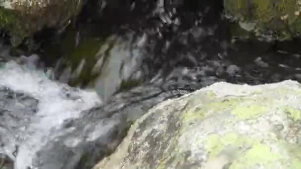 石头之间的山间小溪中干净的天然水 — 图库视频影像