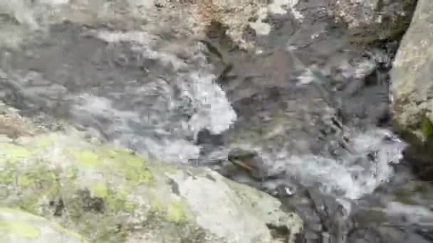 Eau propre et naturelle dans un ruisseau de montagne parmi les pierres 